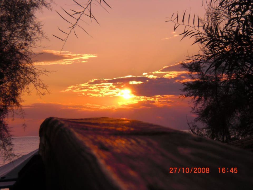 Abendstimmung PALOMA Perissia