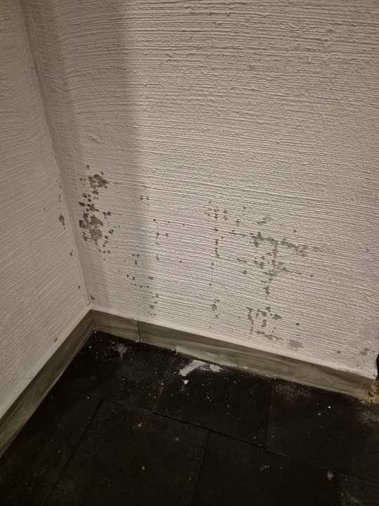 Sport & Freizeit Dream Water World