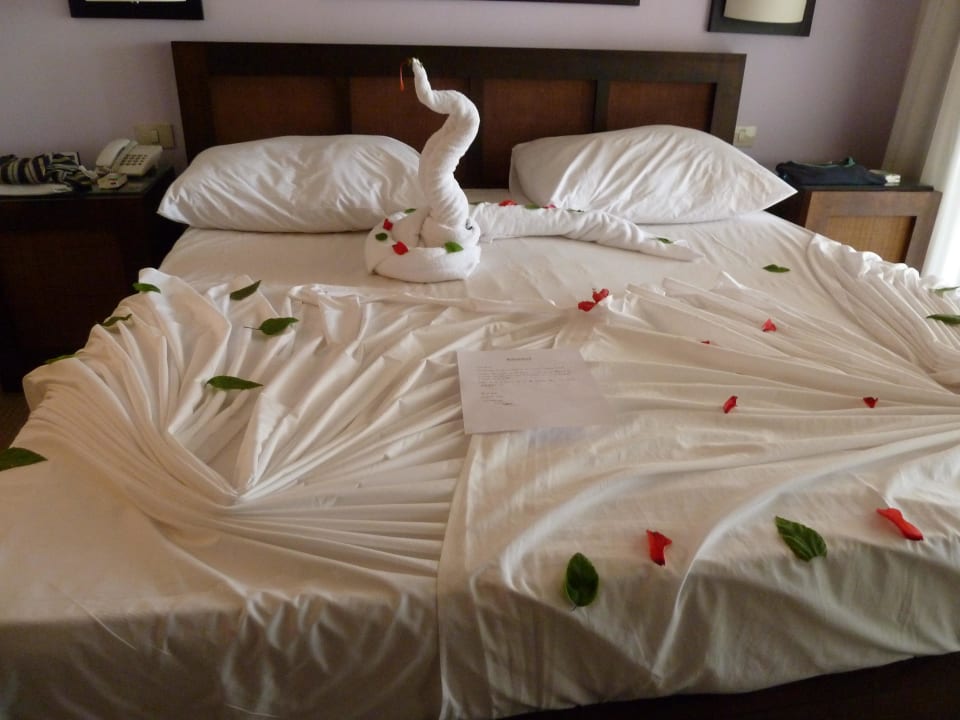 Saraya Palms JAZ Neo Saraya Palms