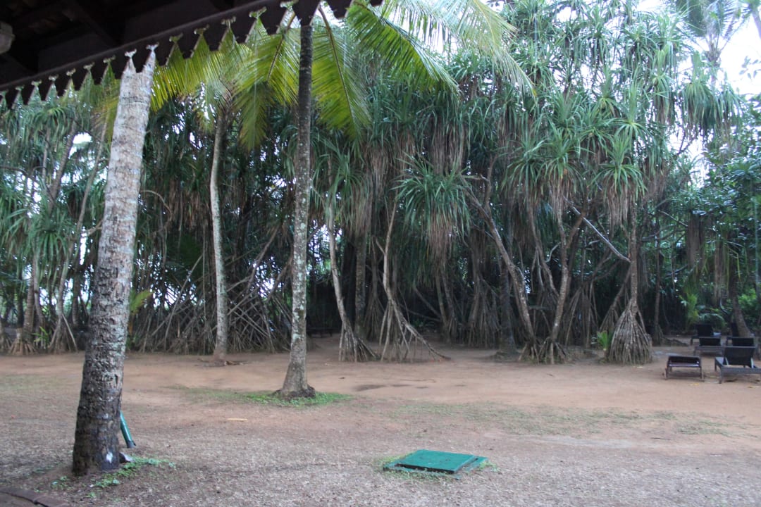 Club Hotel Bentota Hotel Club Bentota