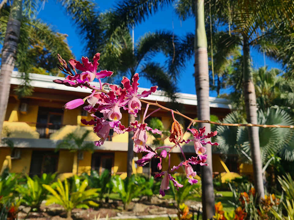 Gartenanlage Hotel Manuel Antonio
