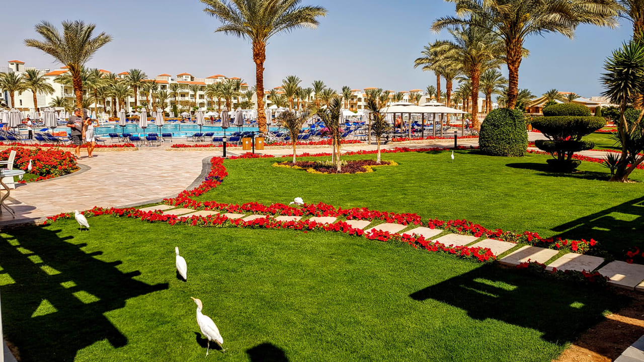 Gartenanlage Pickalbatros Dana Beach Resort - Hurghada