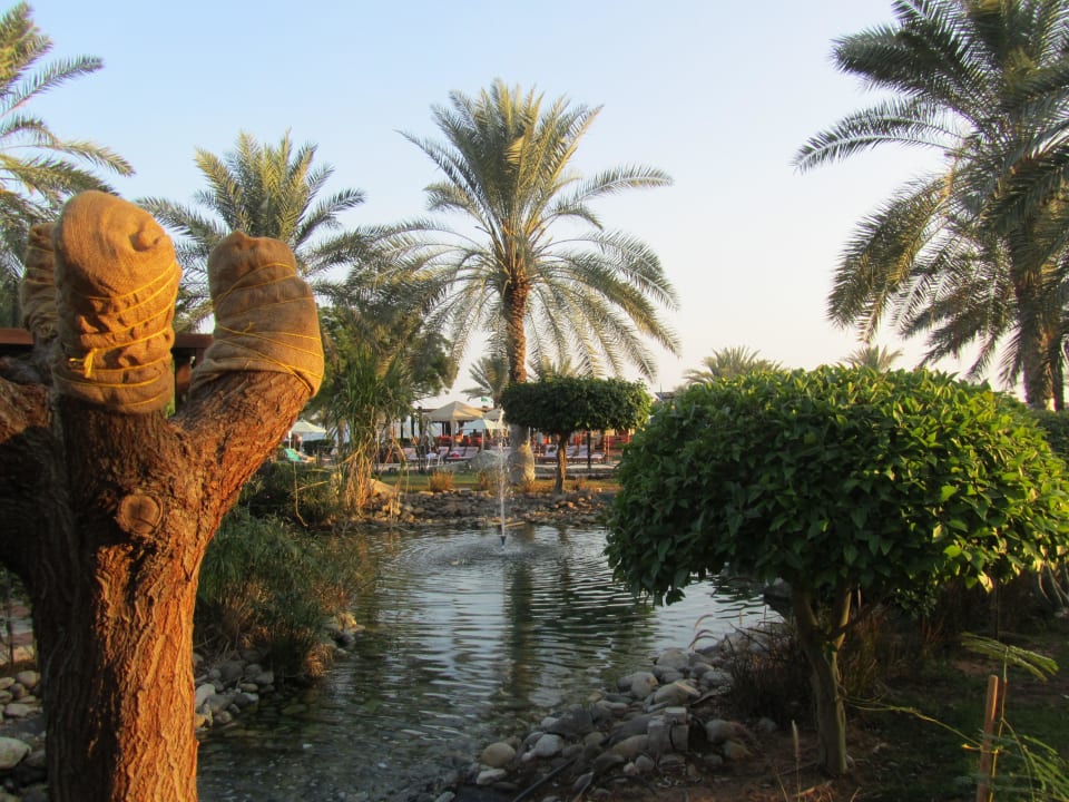 Impression Hotel Le Meridien Al Aqah Beach Resort