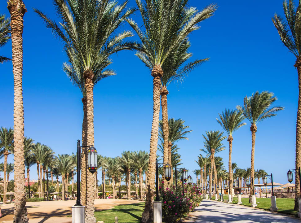 Garten Makadi Palace