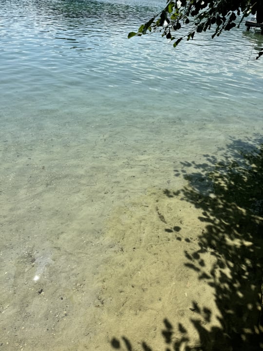 Strand Hotel Birkenhof am See