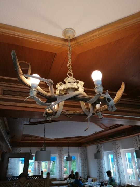 Gastro Hotel Gasthof Hirschenwirt