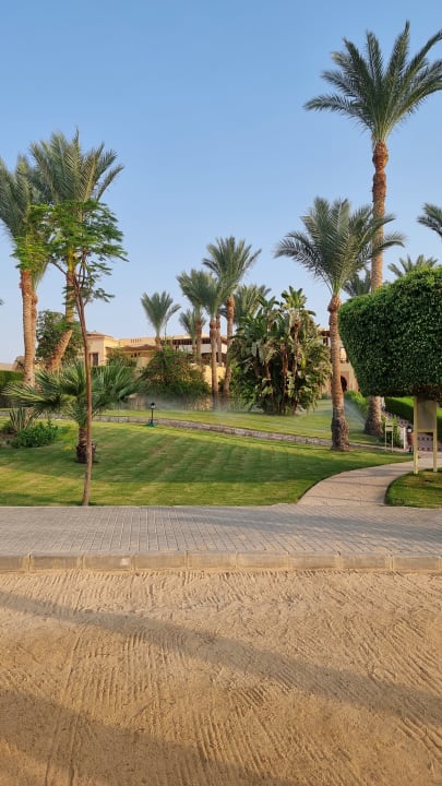 Gartenanlage Steigenberger Coraya Beach - Adults only