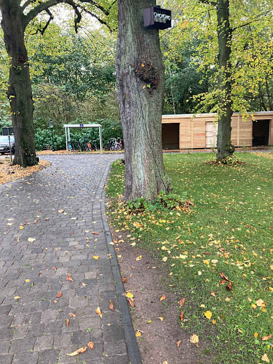 Außenansicht Seehotel Frankenhorst - BW Signature Collection