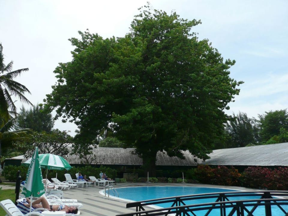 Vom Pool zur Bar Equator Village Resort
