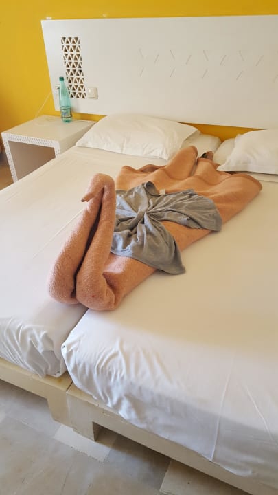 Zimmer nach Reinigung  Djerba Sun Beach Hotel & Spa
