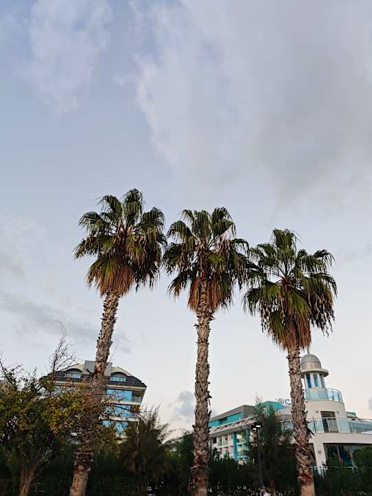 Strand Side Story Resort & Spa