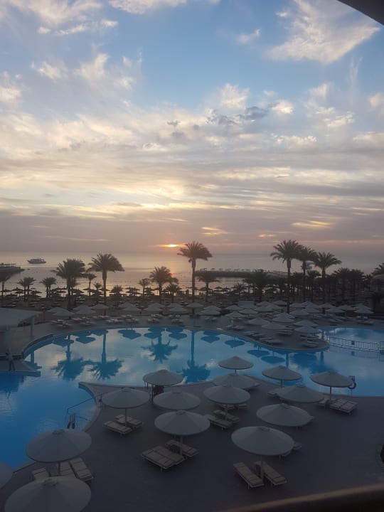 Pool Beach Albatros Resort