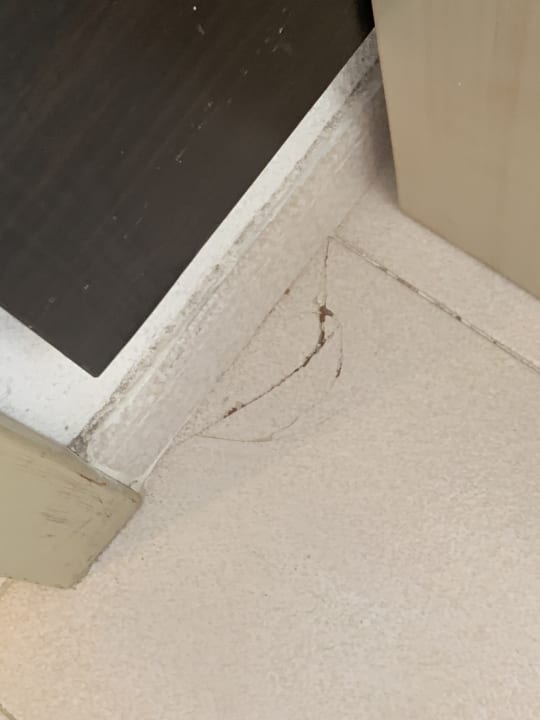 Zimmer blau punta reina