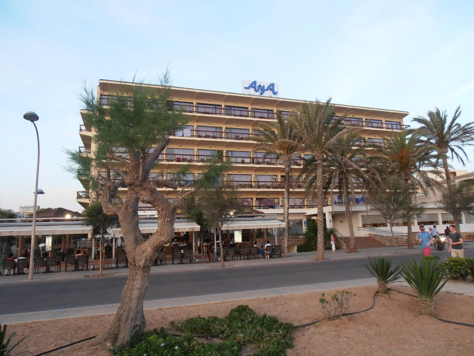 Hotel Aya vom Strand AYA Seahotel - Adults only