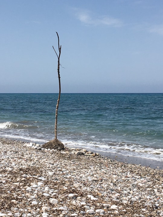 Strand TUI KIDS CLUB Alex Beach