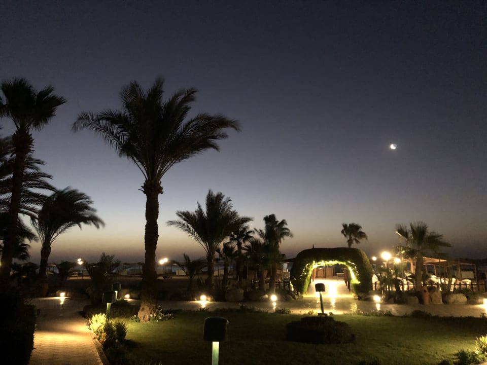 Gartenanlage Shams Safaga Resort