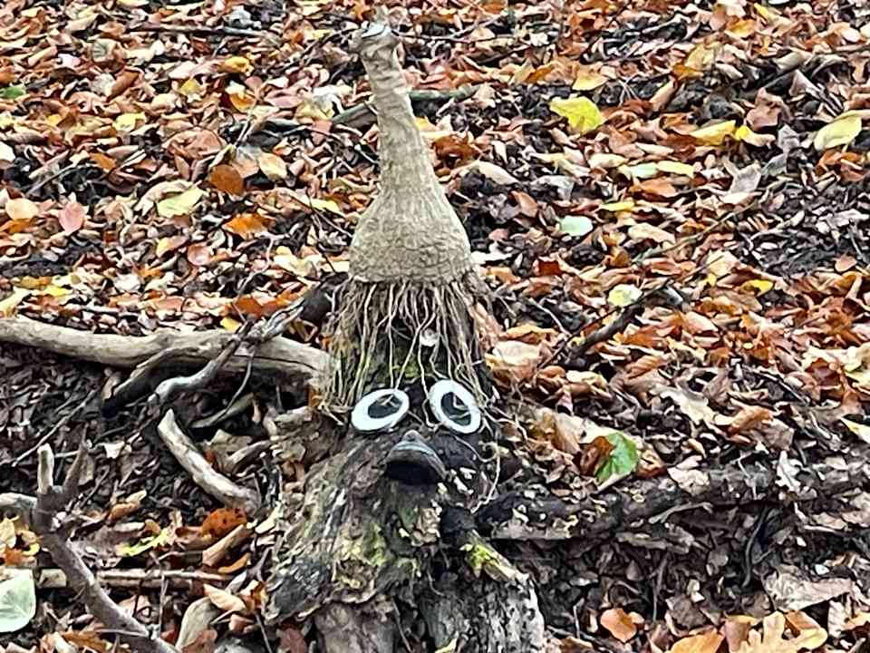 Sport & Freizeit Seehotel Fleesensee