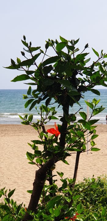 Strand Hotel Defne Garden