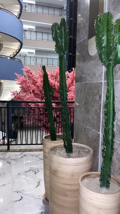 Lobby Dream Water World