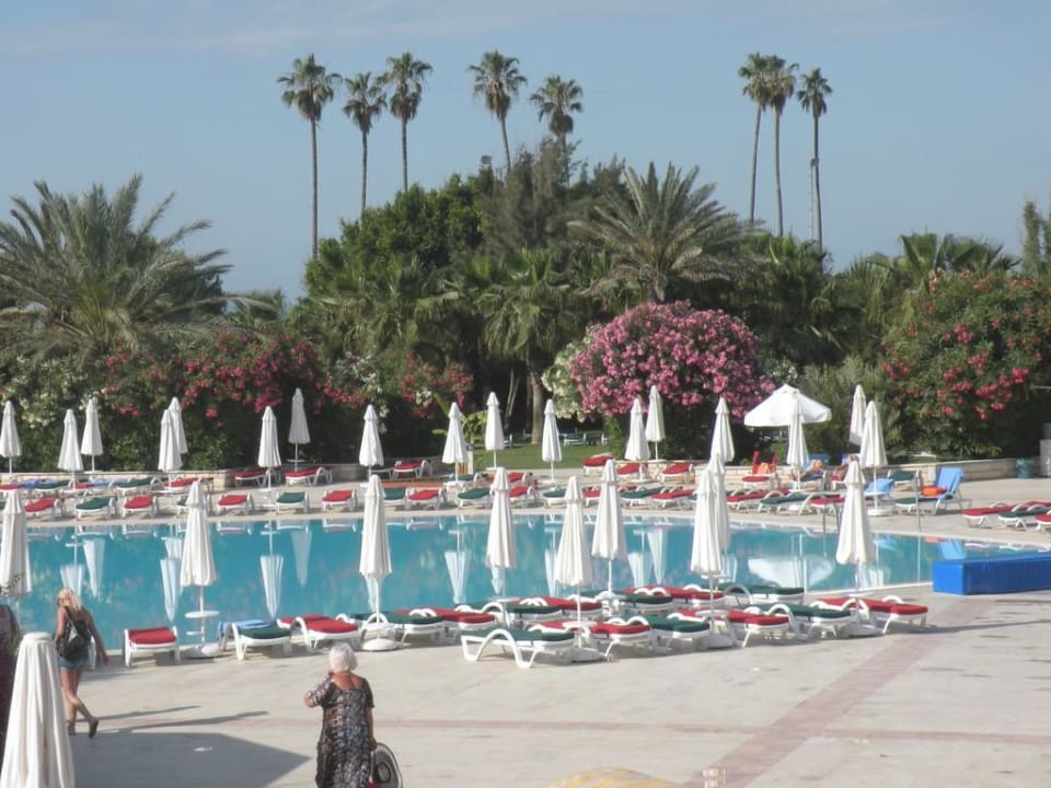 Pool Green Max Hotel