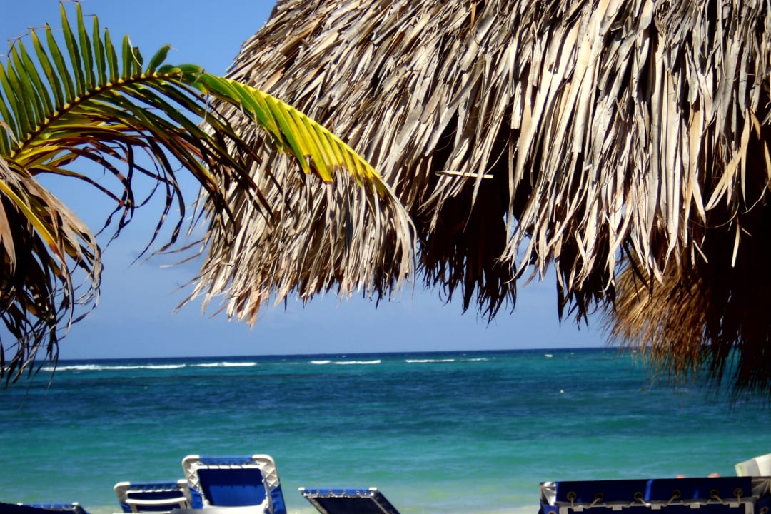 Strand palmen palmenschirm Punta Cana Princess All Suites Resort & Spa