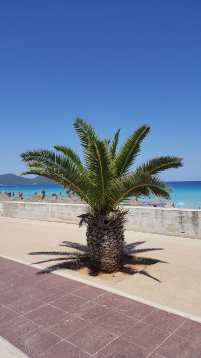 Strand allsun Hotel Borneo - Adults only