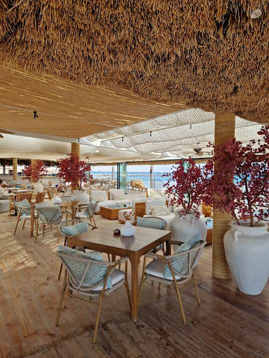 Sonstiges Desert Rose