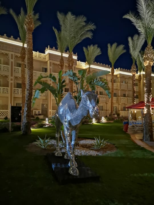 Gartenanlage Pickalbatros Palace Resort