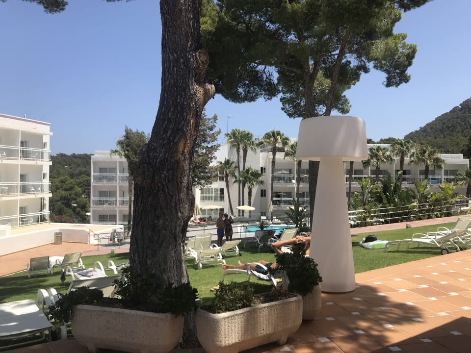 Gartenanlage Grupotel Ibiza Beach Resort