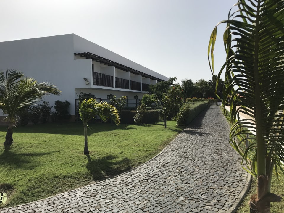 Garten Meliá Laguna Beach