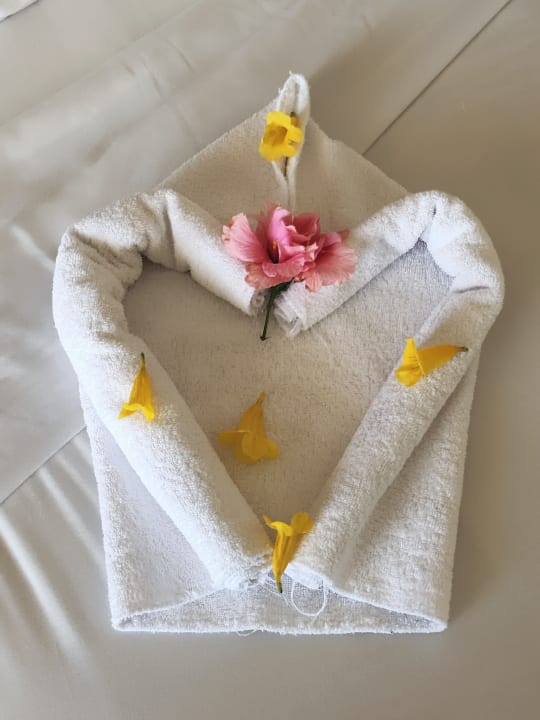 Zimmer Malikia Resort Abu Dabbab