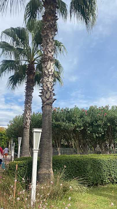 Gartenanlage Sunis Elita Beach Resort & Spa