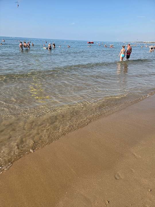 Strand Seashell Resort