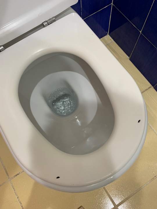 Zimmer SBH Costa Calma Beach Resort