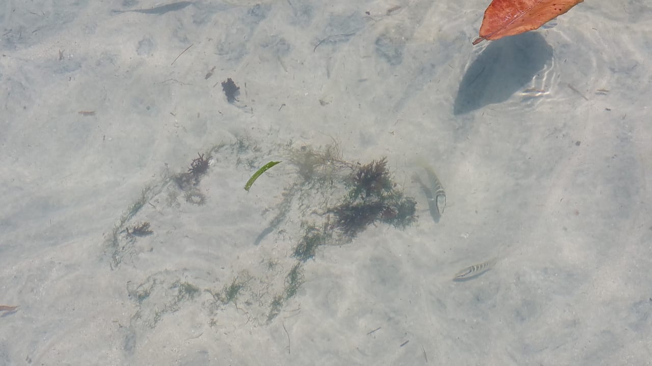 Strand Grand Muthu Club Caribbean Runaway Bay