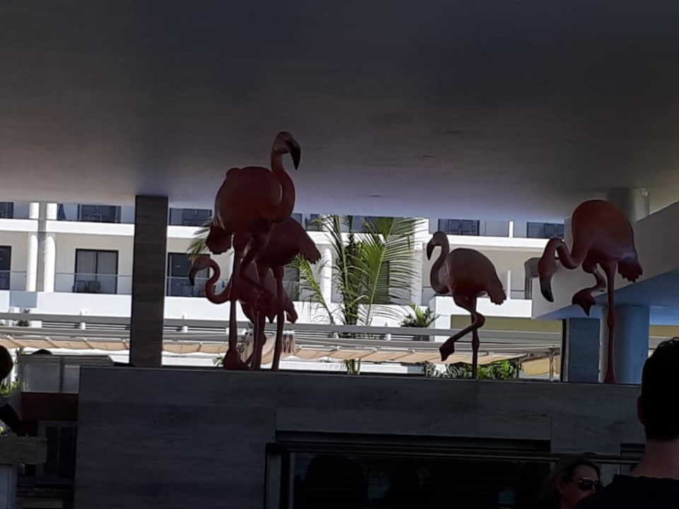 Pool bar Hotel Riu Sri Lanka