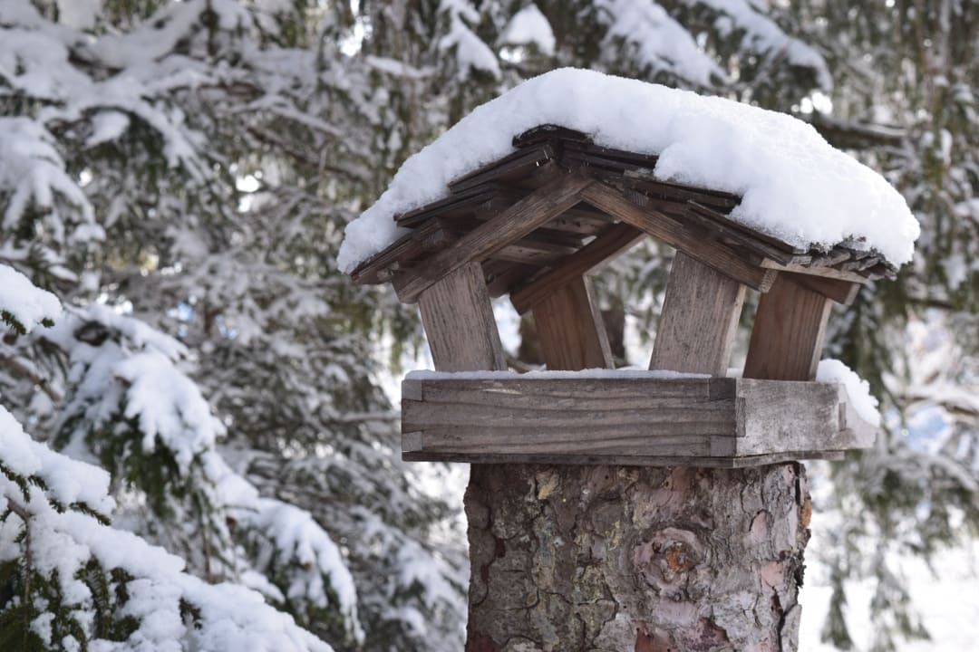 Sonstiges Ferienwohnung Göritzer