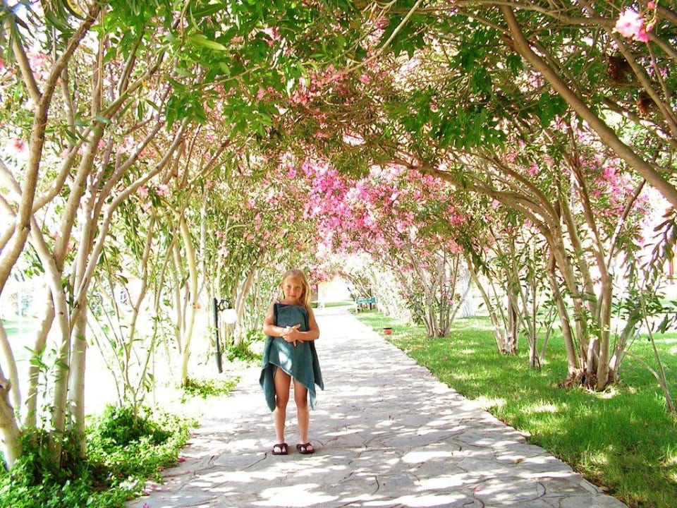 Der Weg zum Theater Kustur Club Holiday Village