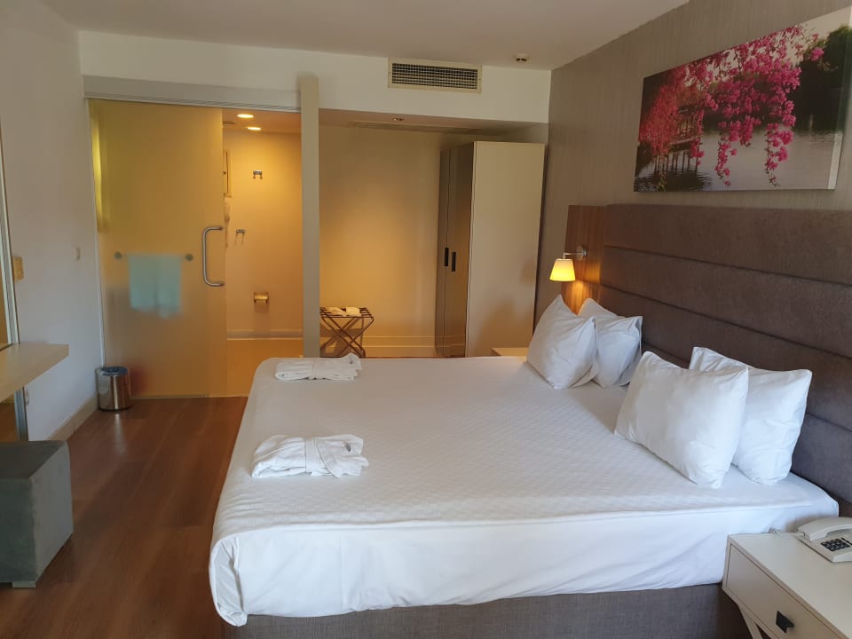 Zimmer Monachus Family Resort Sorgun