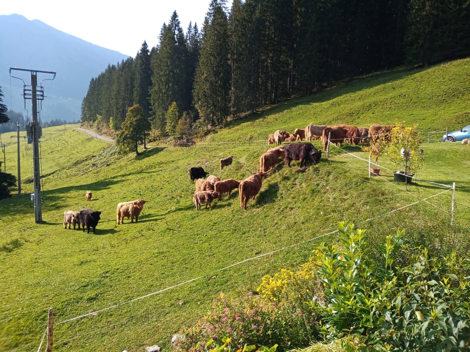 Außenansicht Berghof Felder