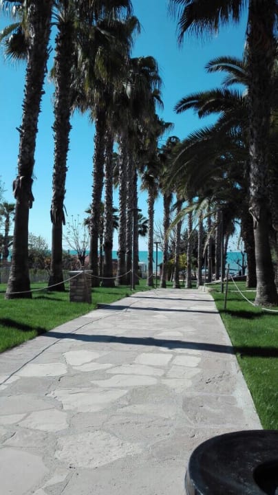 Gartenanlage Arum Barut Collection