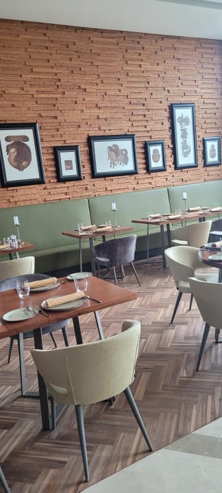 Gastro Acanthus Cennet Barut Collection