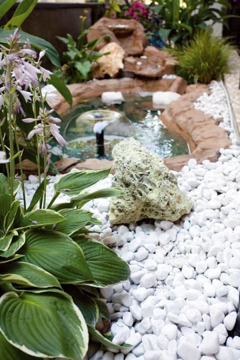 Laghetto  Hotel Villa del Mar