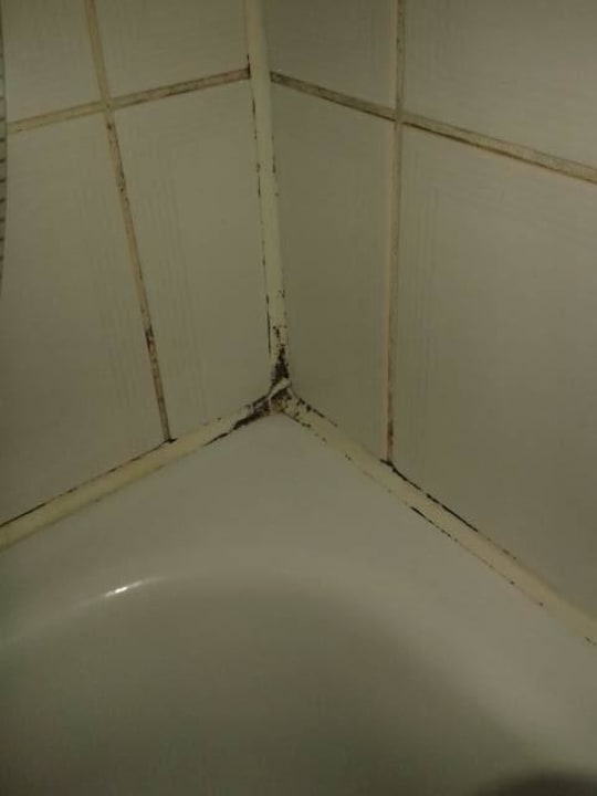 Schimmel in der Dusche Hotel Siekmann