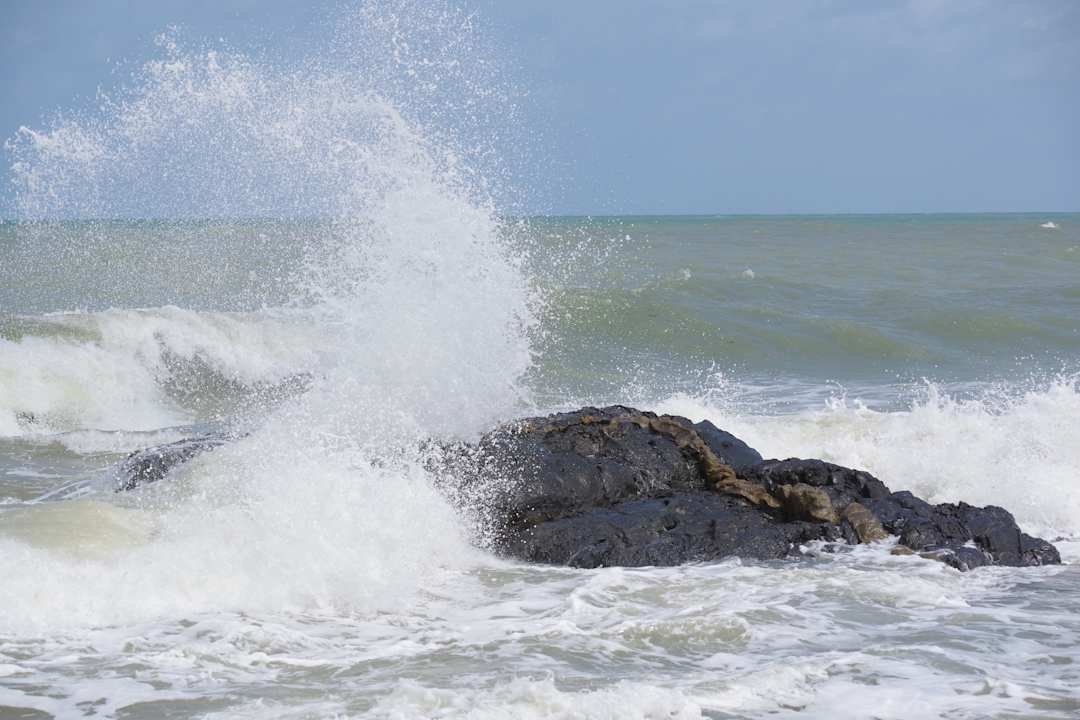 Sonstiges Moracea by Khao Lak Resort