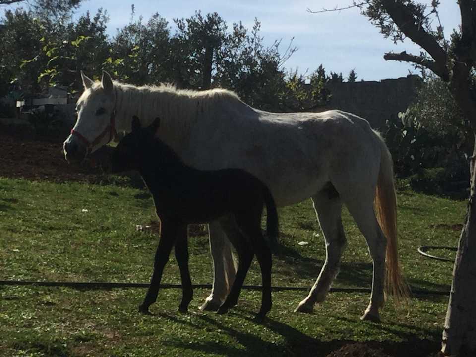 In Avola Antica  Avola Flats First Floor