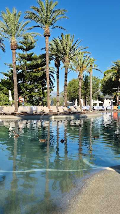 Pool PortBlue Club Pollentia Resort & Spa