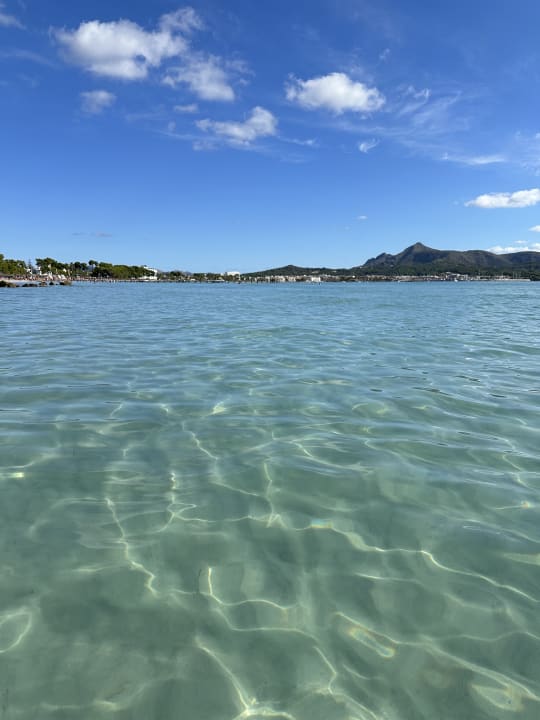 Strand allsun App.-Hotel Orquidea Playa