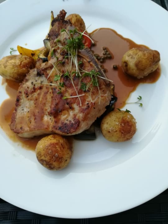 Gastro Chateau Kynšperk