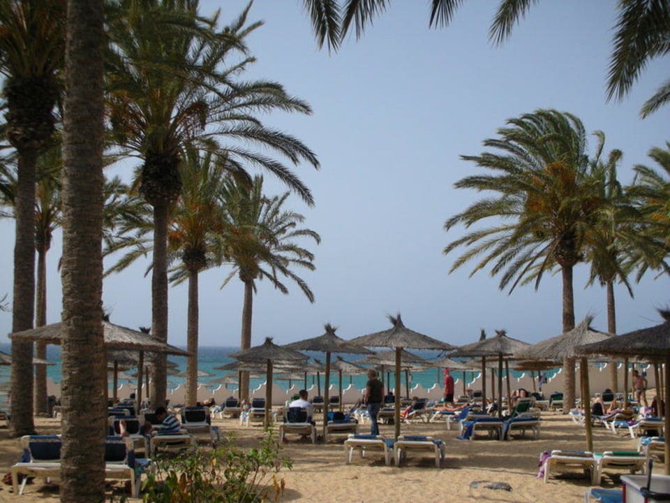 Zaciszny zakątek za barem SBH Costa Calma Beach Resort